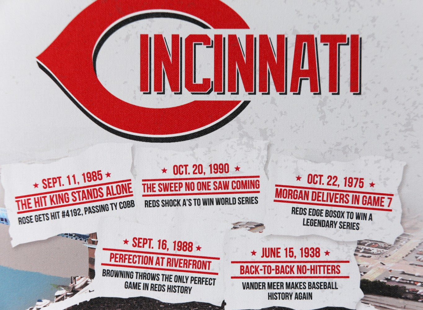 Cincinnati Reds Team Binder